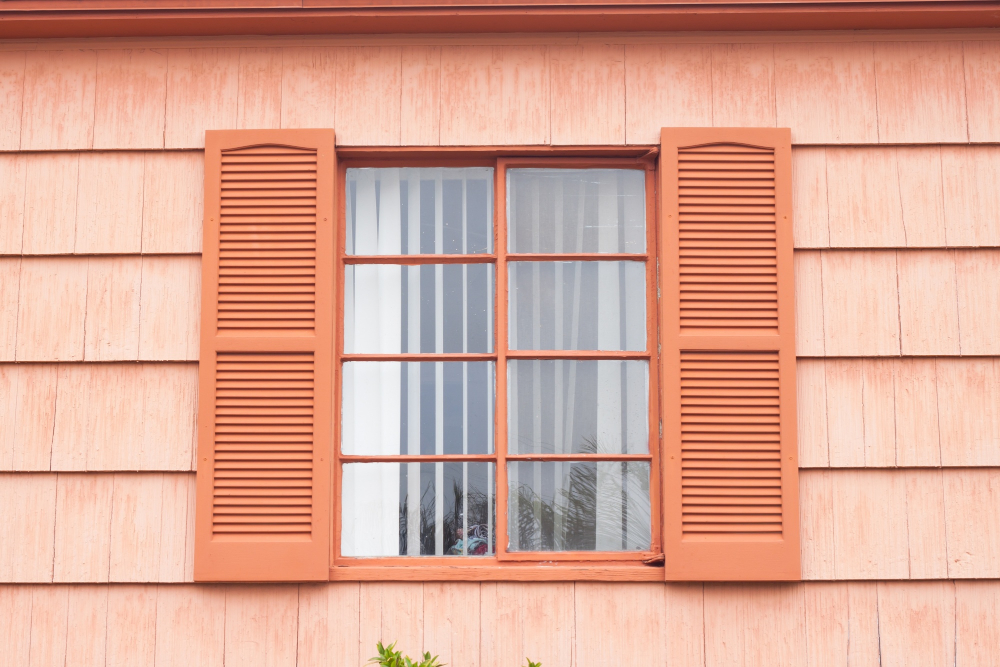 Louvre Window